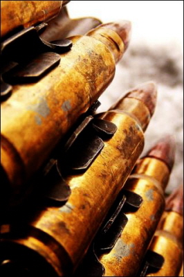 21952-bullets